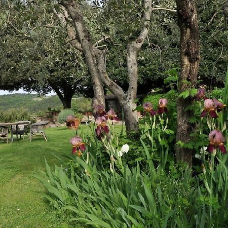 Castello Di Colognole - Appartamento Quaratesi Greve in Chianti Eksteriør billede
